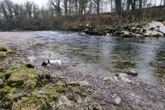 20230213_134223-scaled