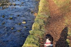 20230213_150356-scaled