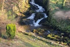 20230213_151018-scaled