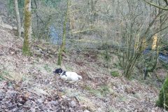 20230213_153026-scaled