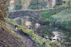 20230213_163555-scaled