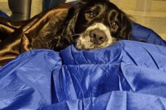 20230213_220451-scaled