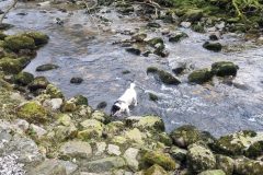 20230214_110102-scaled