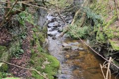 20230214_110445-scaled