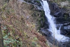 20230214_113002-scaled