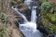 20230214_113329-scaled