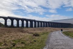 20230214_143559-scaled