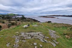 20230228_145309-Copy-Copy-Copy-Copy