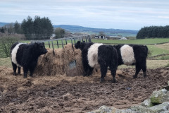 20230228_173528-Copy