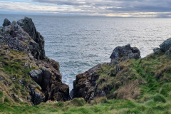 20230301_092753-Copy-Copy