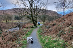 20230301_165624-Copy