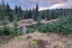 20230301_173535-Copy-2