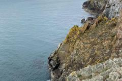 IMG-20230301-WA0080-Copy-2