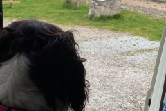 0677471C-14F8-4968-98A0-55F6B23907FD