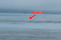 20230421_094439-copy