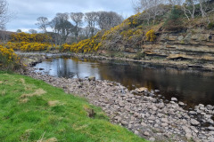 20230422_084628-Copy