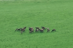 20230422_101102-Copy