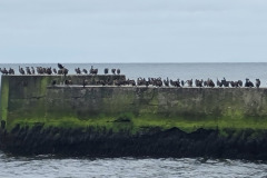 20230422_103902-Copy