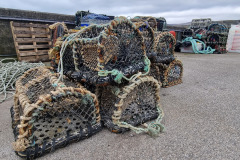 20230422_104044-Copy