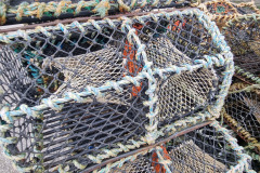 20230422_104212-Copy