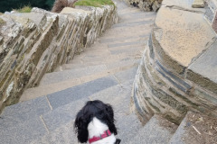 20230422_114902-Copy