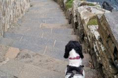 20230422_115017-Copy