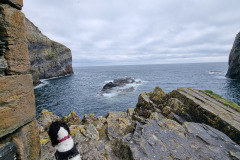 20230422_115330-Copy