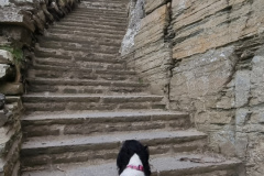 20230422_120138-Copy