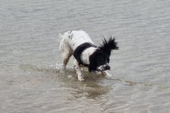 20230423_130840-Copy