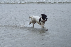 20230423_130908-Copy