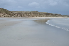 20230423_130922-Copy