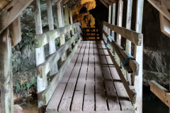 20230423_181742-Copy