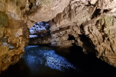 20230423_181801-Copy