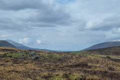 20230424_100117-Copy