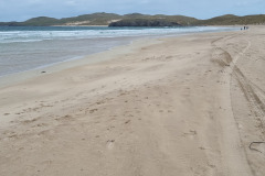 20230424_103236-Copy