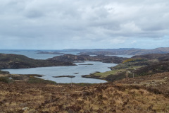 20230424_132810-Copy