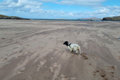 20230424_141224-Copy