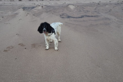 20230424_141344-Copy