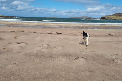 20230424_141415-Copy