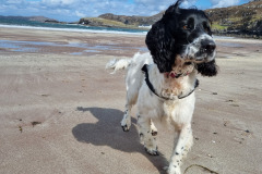 20230424_141518-Copy