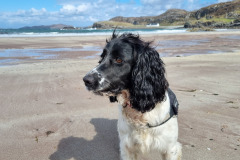 20230424_141520-Copy