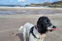 20230424_141526-Copy