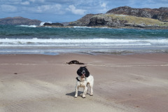 20230424_141627-Copy