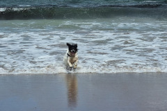 20230424_141701-Copy