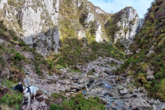 20230424_154505-Copy