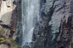 20230424_154549-Copy