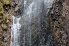 20230424_154855-Copy