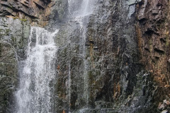 20230424_155009-Copy