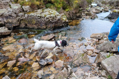 20230424_155448-Copy