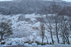 20230425_071710-Copy